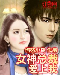 同居情緣：我與女神總裁合租