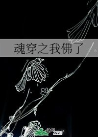 魂穿之我佛了